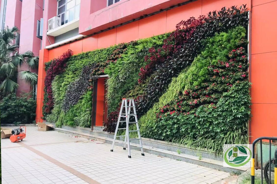 深圳横岗中学