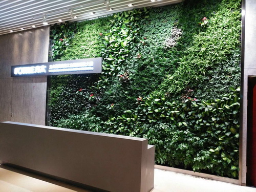 方太logo绿化背景植物墙