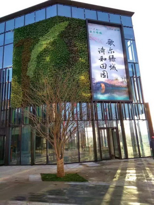 潍坊歌尔绿城植物墙
