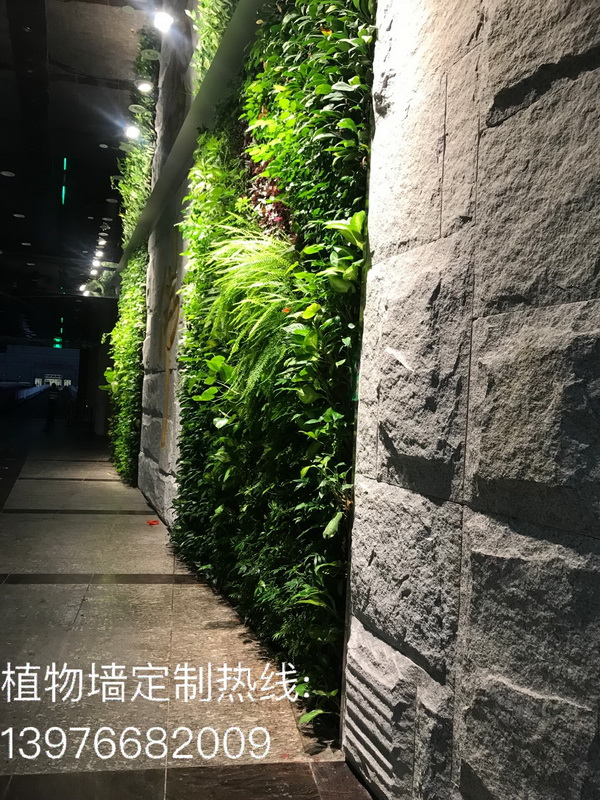 三亚南山观音文化苑生态植物墙