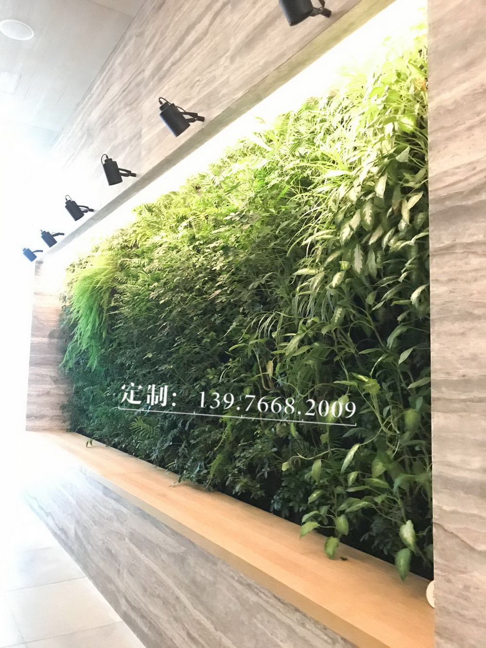 三亚阳光壹酒店生态植物墙