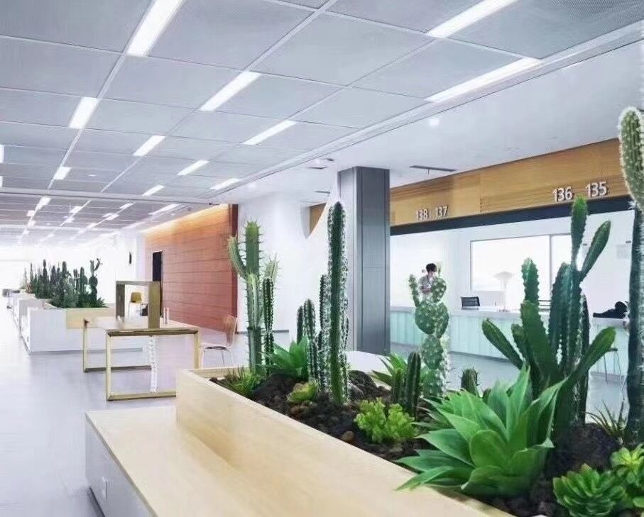 畅泽沙生植物景观