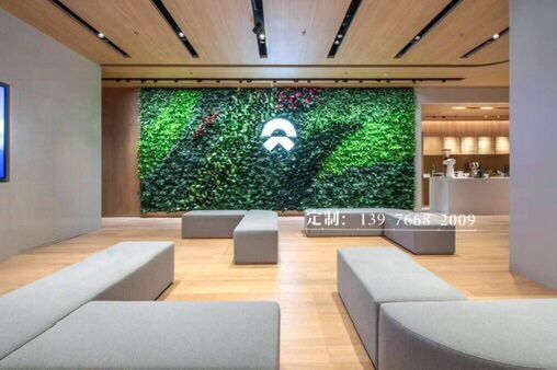 蔚来汽车4S店活体植物墙