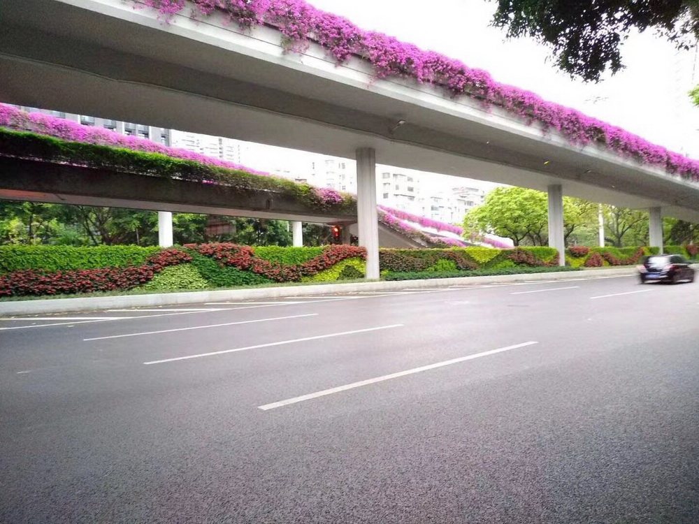 市政绿化围档植物墙