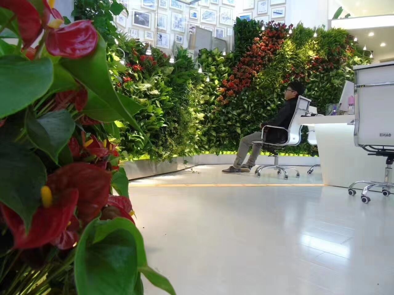 模块袋式植物墙