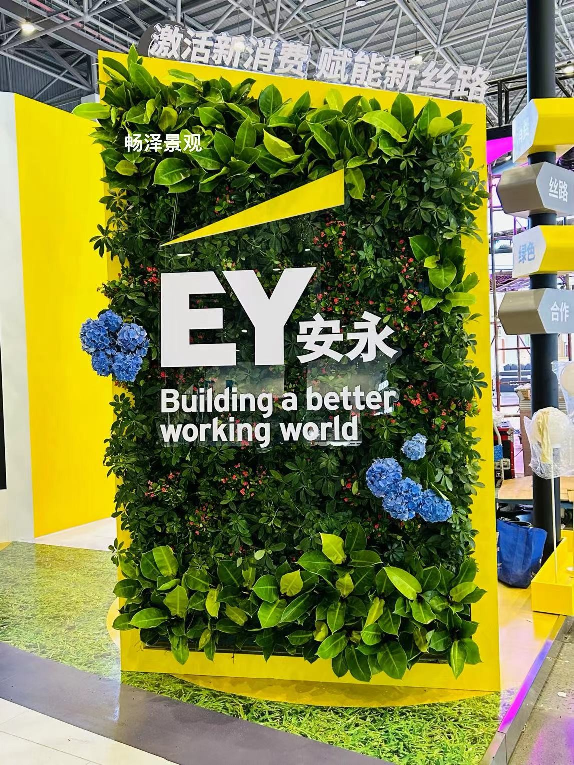 消博会室内绿植墙