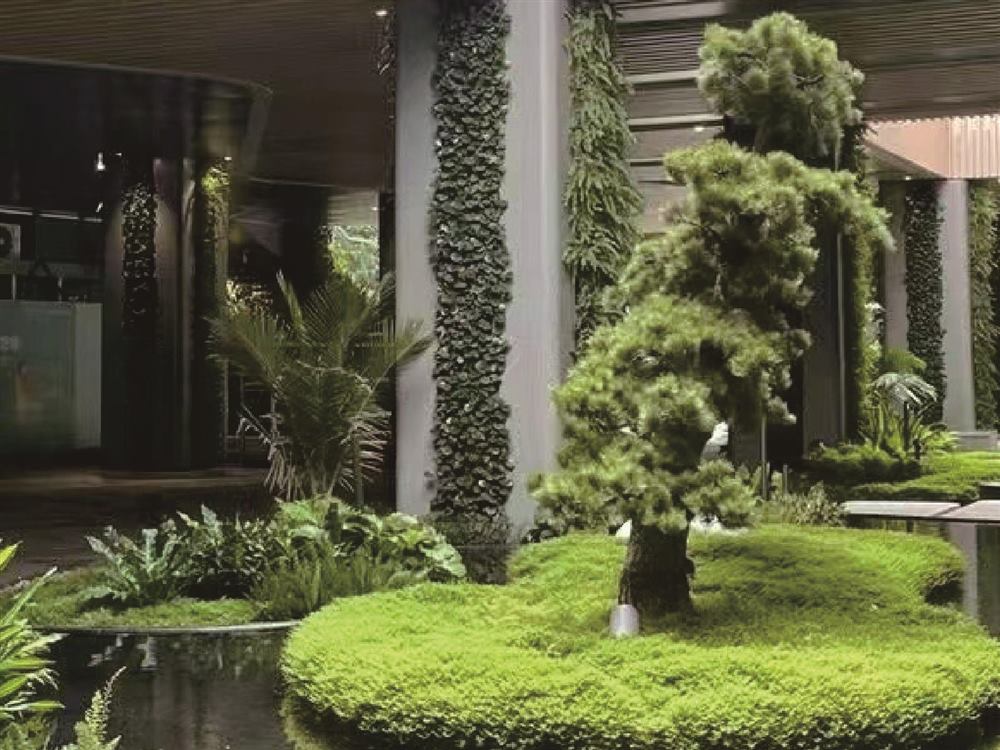 别墅庭院设计